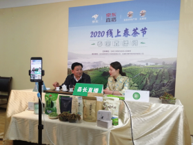 昨晚,县长直播为春茶代言